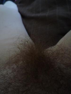 Gran arbusto peludo