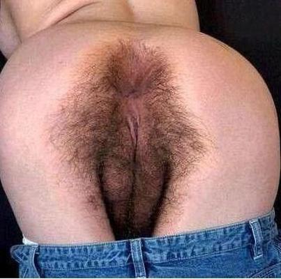 huge Bushy Bearded vaginas