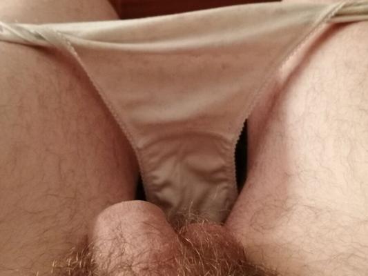 Hairy bush