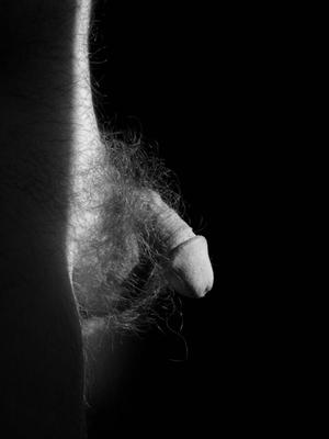 Hairy Cock  Black and White