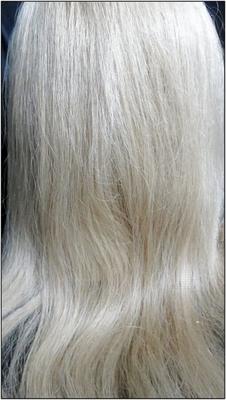 Meister - T - Naturblonds Cheveux