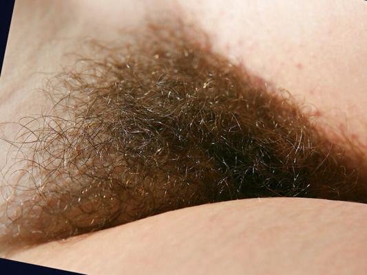 Hairy close-ups