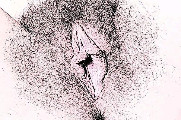 Vulva