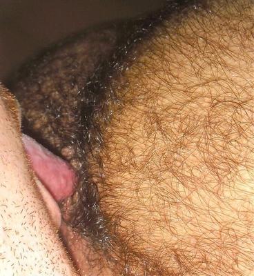 hairy arse licking