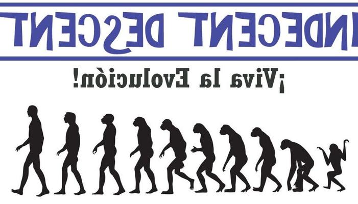 Descente indécente - Viva La Evolucion!