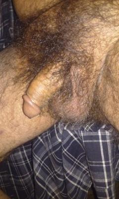 Hairy Cocks