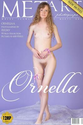 Ornella – Künstlerisches Aktmodell mit Bush